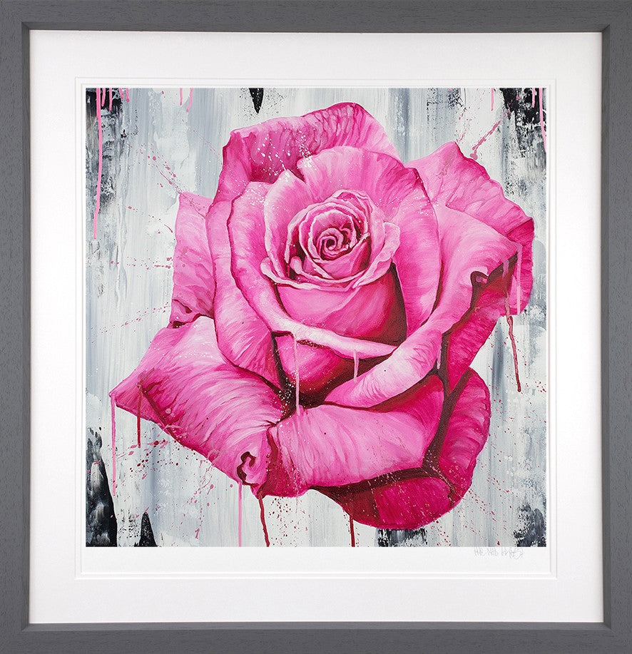 A Magenta Rose Framed Print on Paper by Artist Dean Martin (The Mad Artist)