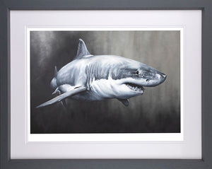 Carcharodon Charcharias Framed Print on Paper by Artist Dean Martin (The Mad Artist)