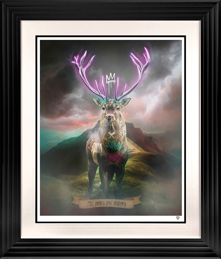 Highland Hunk - Purple Framed Print on Paper by Artist JJ Adams