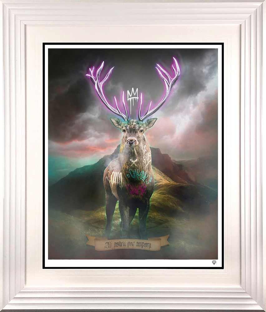 Highland Hunk - Purple Framed Print on Paper by Artist JJ Adams