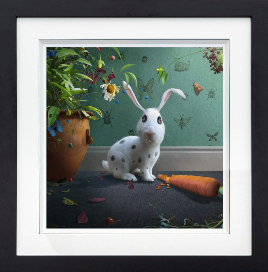 Mr Rabbit Framed Print on Paper by Artist Stephen Hanson