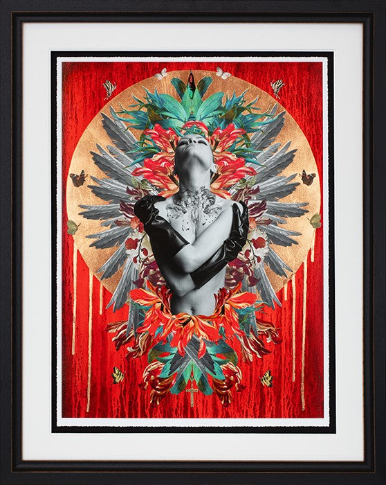 Phoenix Rising Framed Print on Paper by Artist Louise Hutton