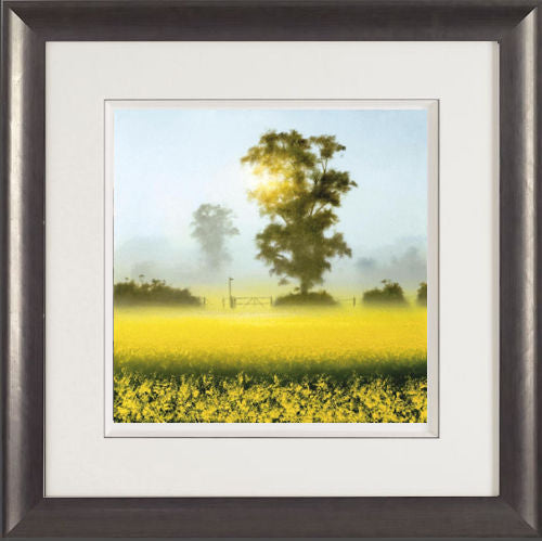 Shining Through Framed Print on Paper by Artist John Waterhouse