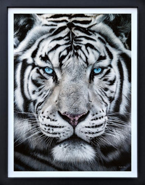 Silent Warrior Deluxe Framed Canvas Print on Board by Artist Martin Robson