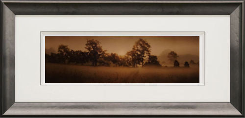 The Meadowland Framed Print on Paper by Artist John Waterhouse