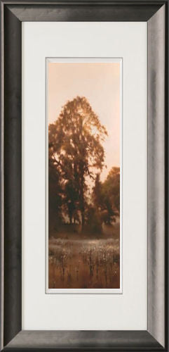 Thistledown Framed Print on Paper by Artist John Waterhouse