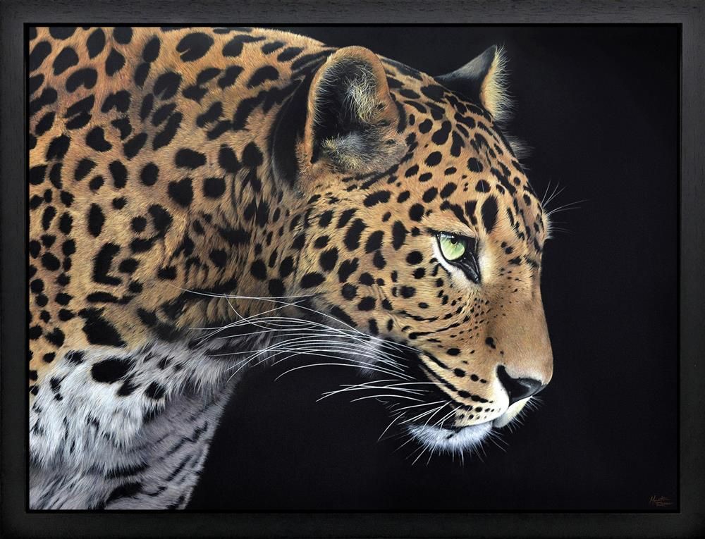 Yala Framed Canvas on Board by Artist Martin Robson